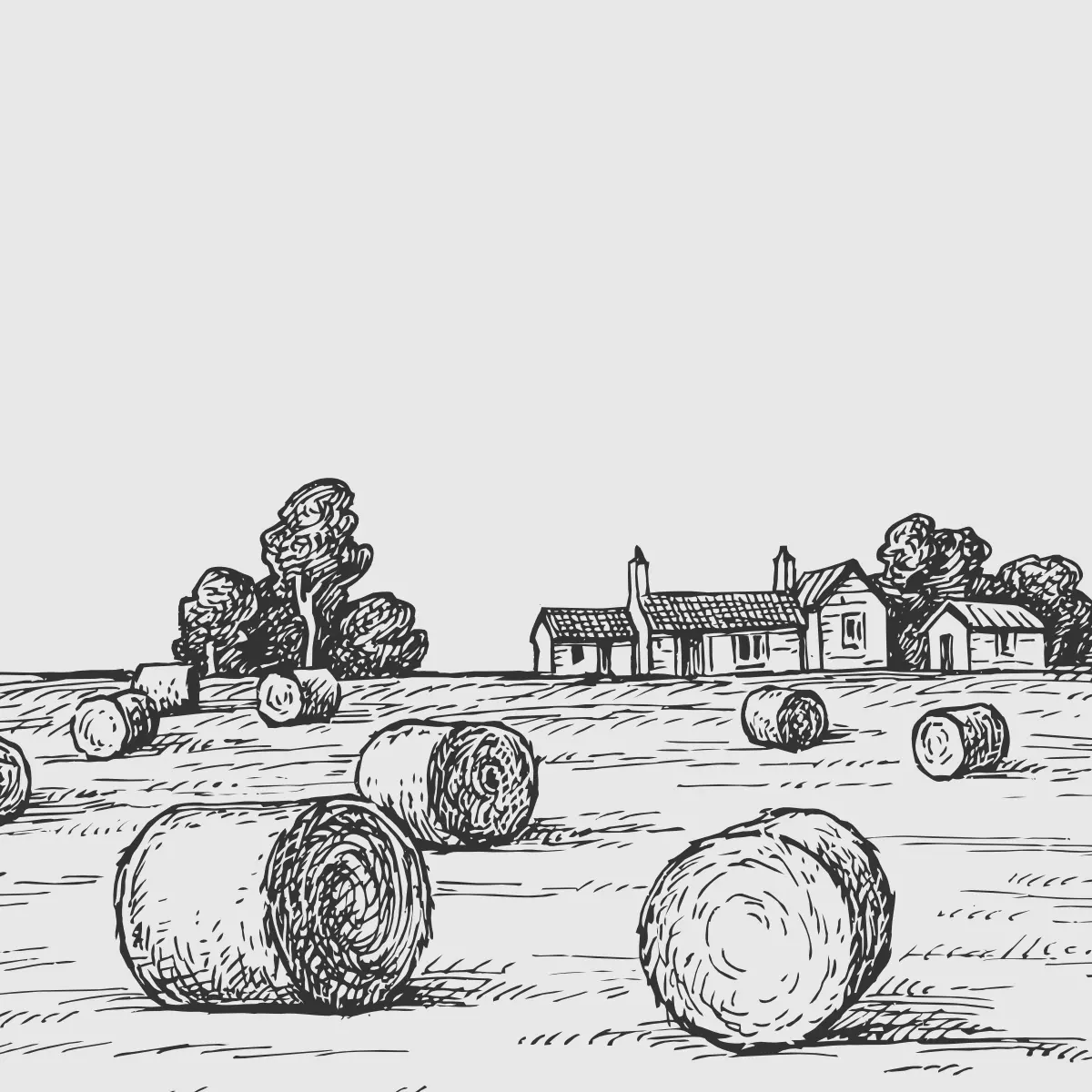 dizajn-rakija-ambalaze